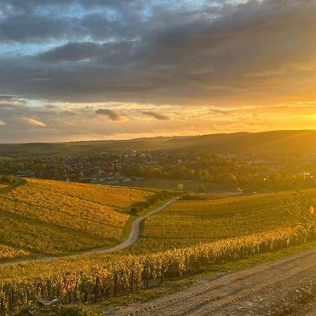 Maison De Campagne Entre Vigne Et Bois Chablis Eksteriør bilde