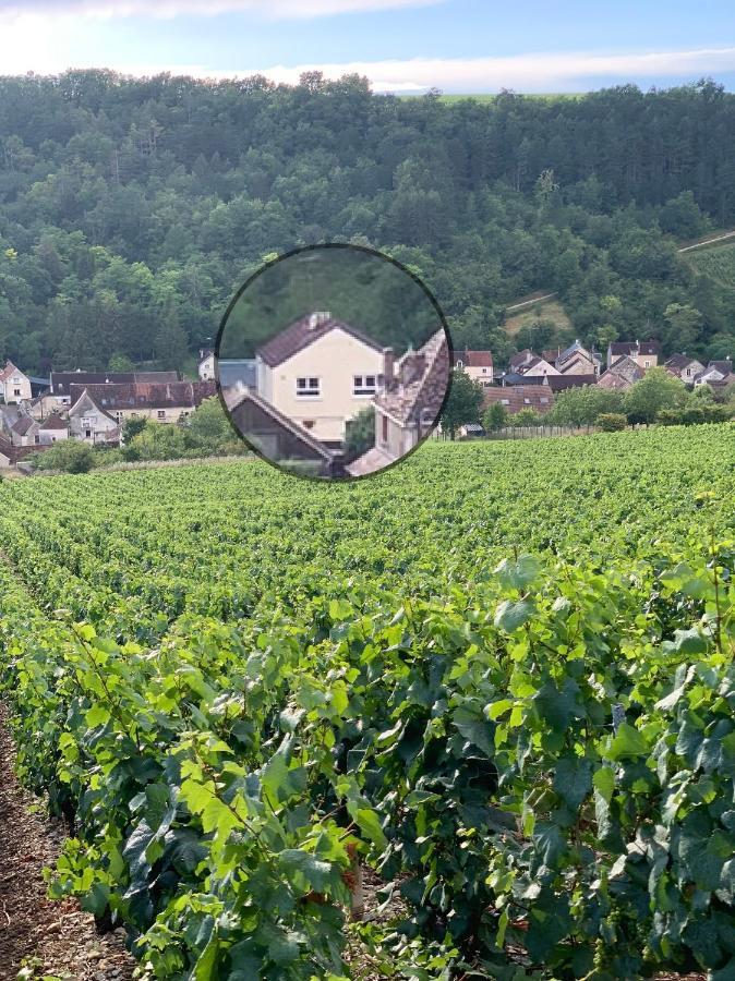 Maison De Campagne Entre Vigne Et Bois Chablis Eksteriør bilde